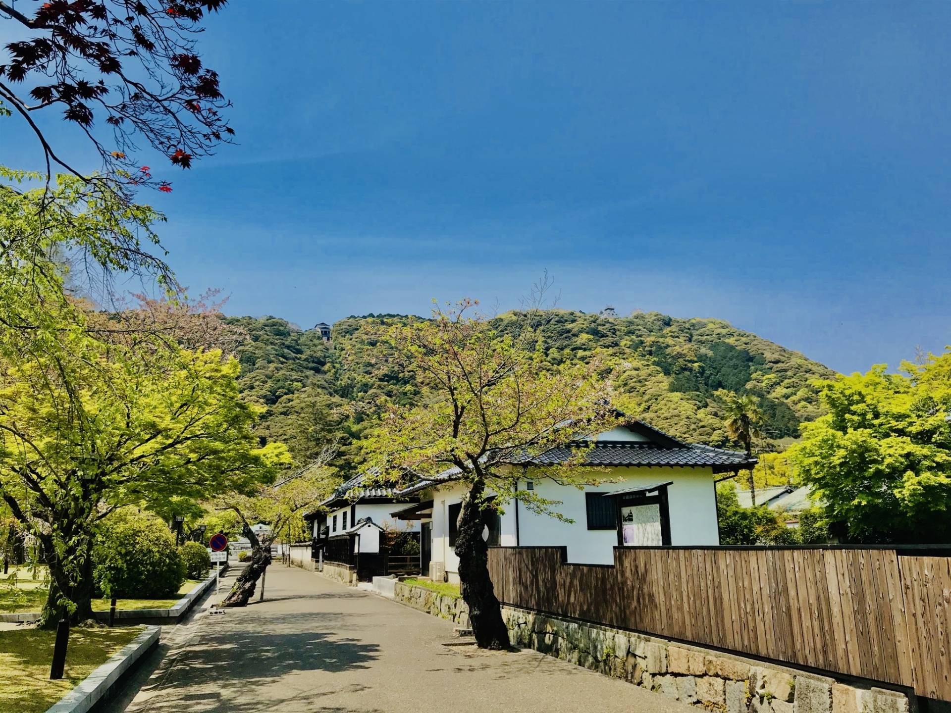 岩國白蛇神社の社殿